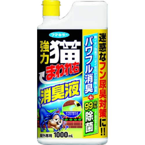 ?毎月付け替え?今月のオススメ品