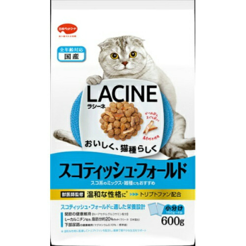 大流行中 送料込 まとめ買い 10個セット 日本ペットフード ラシーネ スコティッシュ フォールド 600g 全日本送料無料 Prestomaalaus Fi