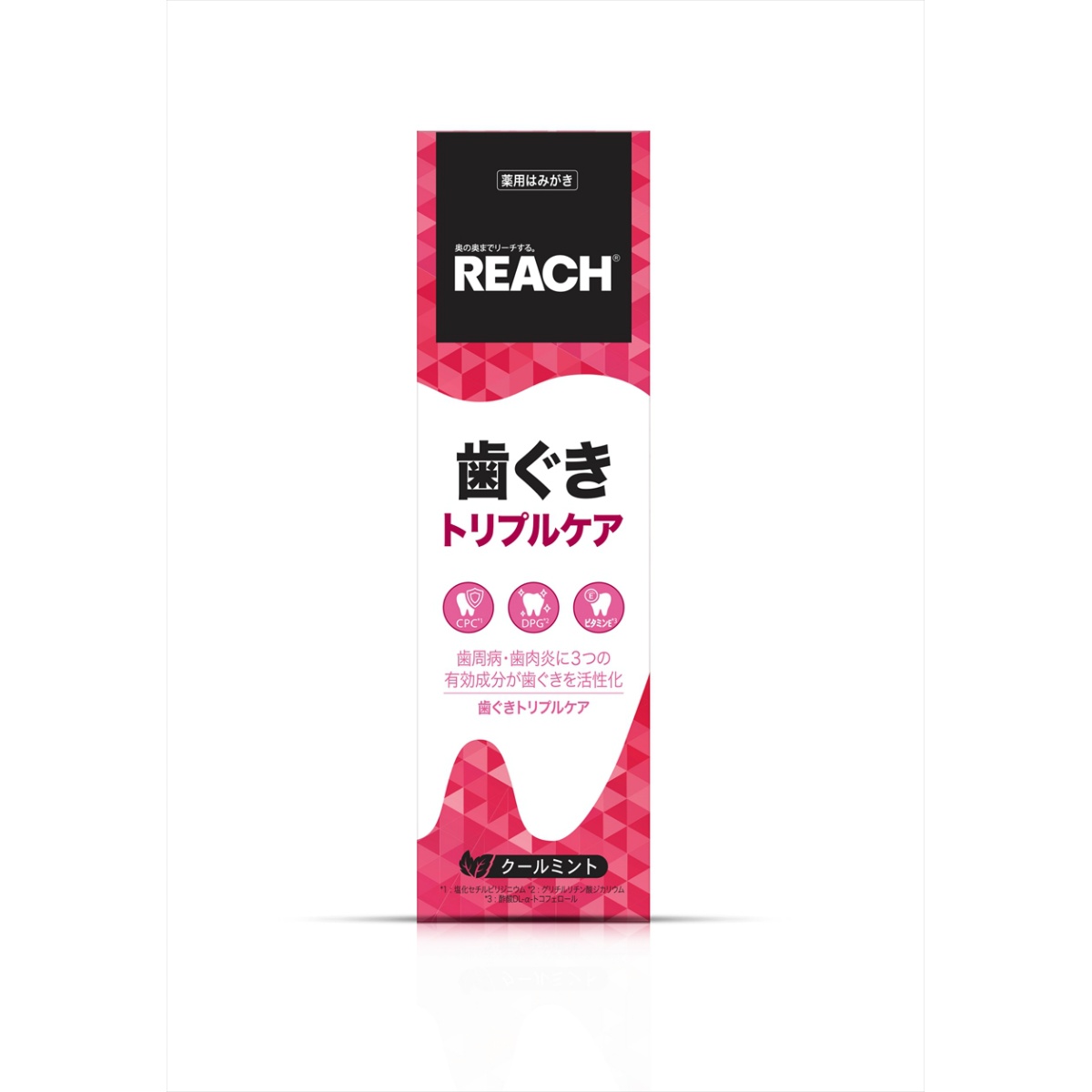 【送料込・まとめ買い×40個セット】銀座ステファニー リーチ 歯ぐき トリプルケア 歯みがき 120g