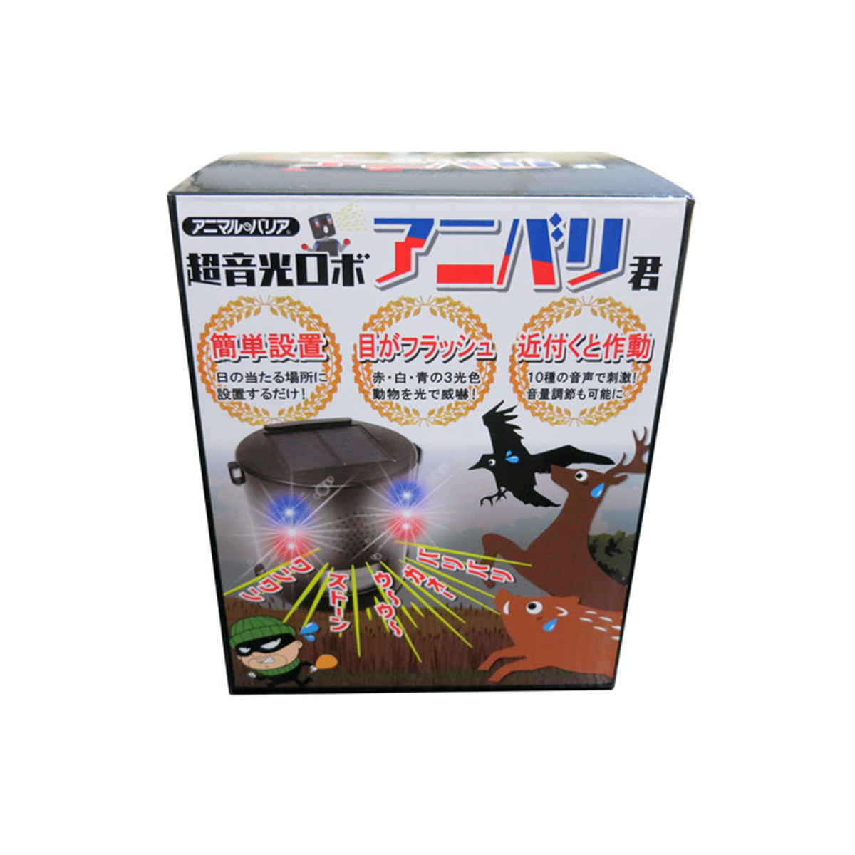 ?毎月付け替え?今月のオススメ品