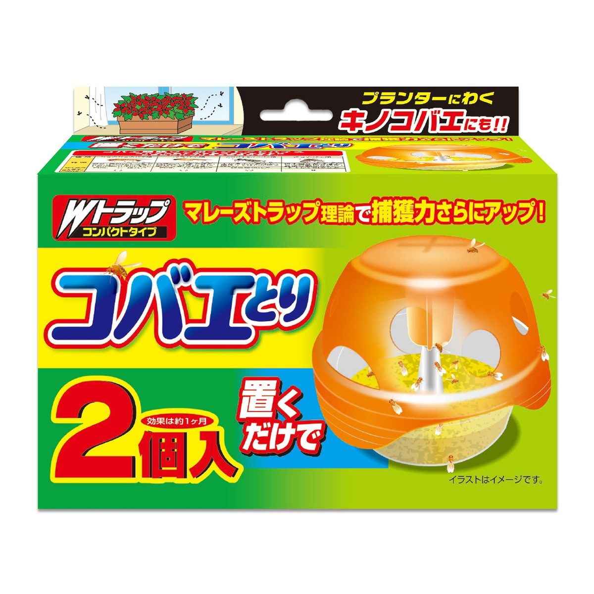 ?毎月置き換え?今月のオススメ品