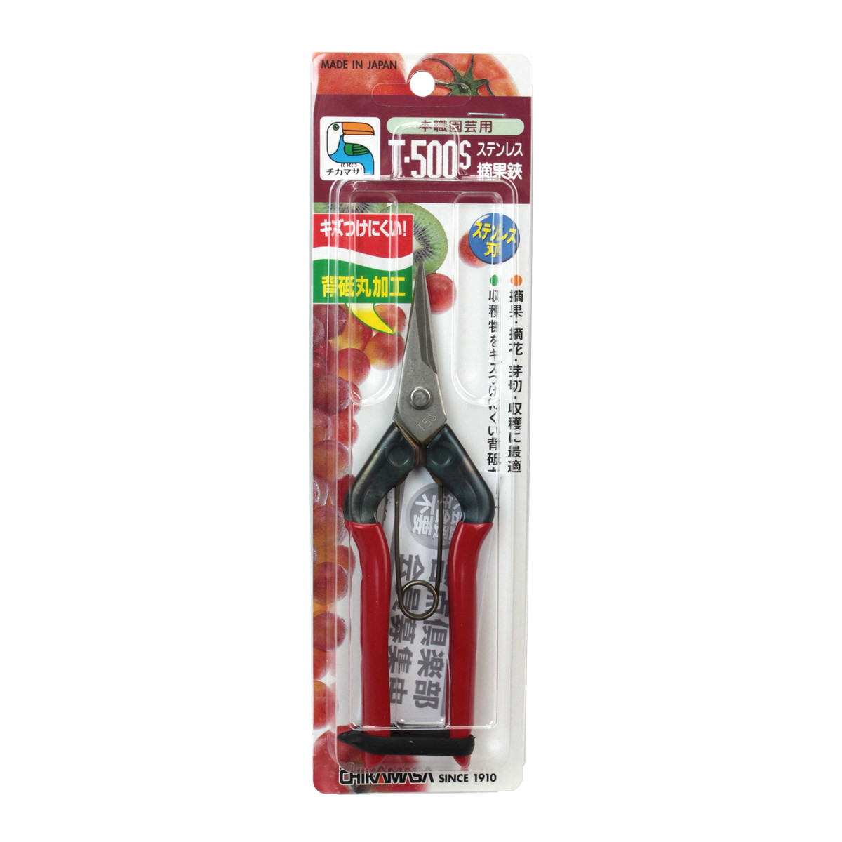【送料込・まとめ買い×8個セット】近正 チカマサ ステンレス摘果ハサミ T-500S