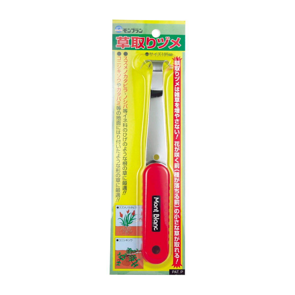 ?毎月置き換え?今月のオススメ品