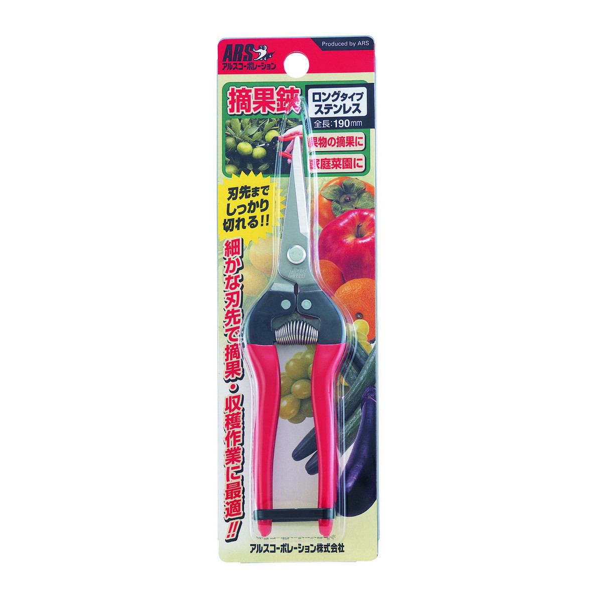 ?毎月置き換え?今月のオススメ品