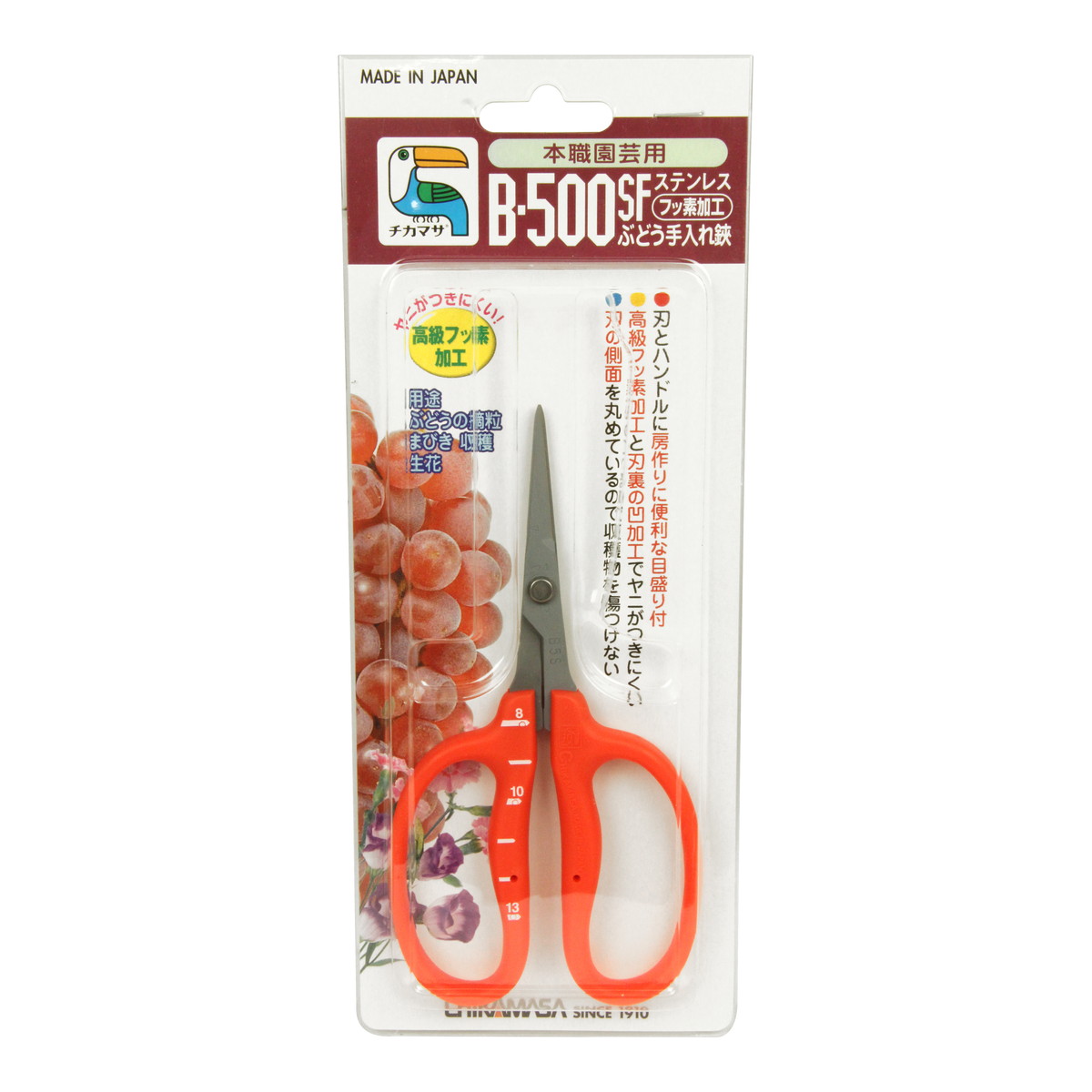 ?毎月置き換え?今月のオススメ品