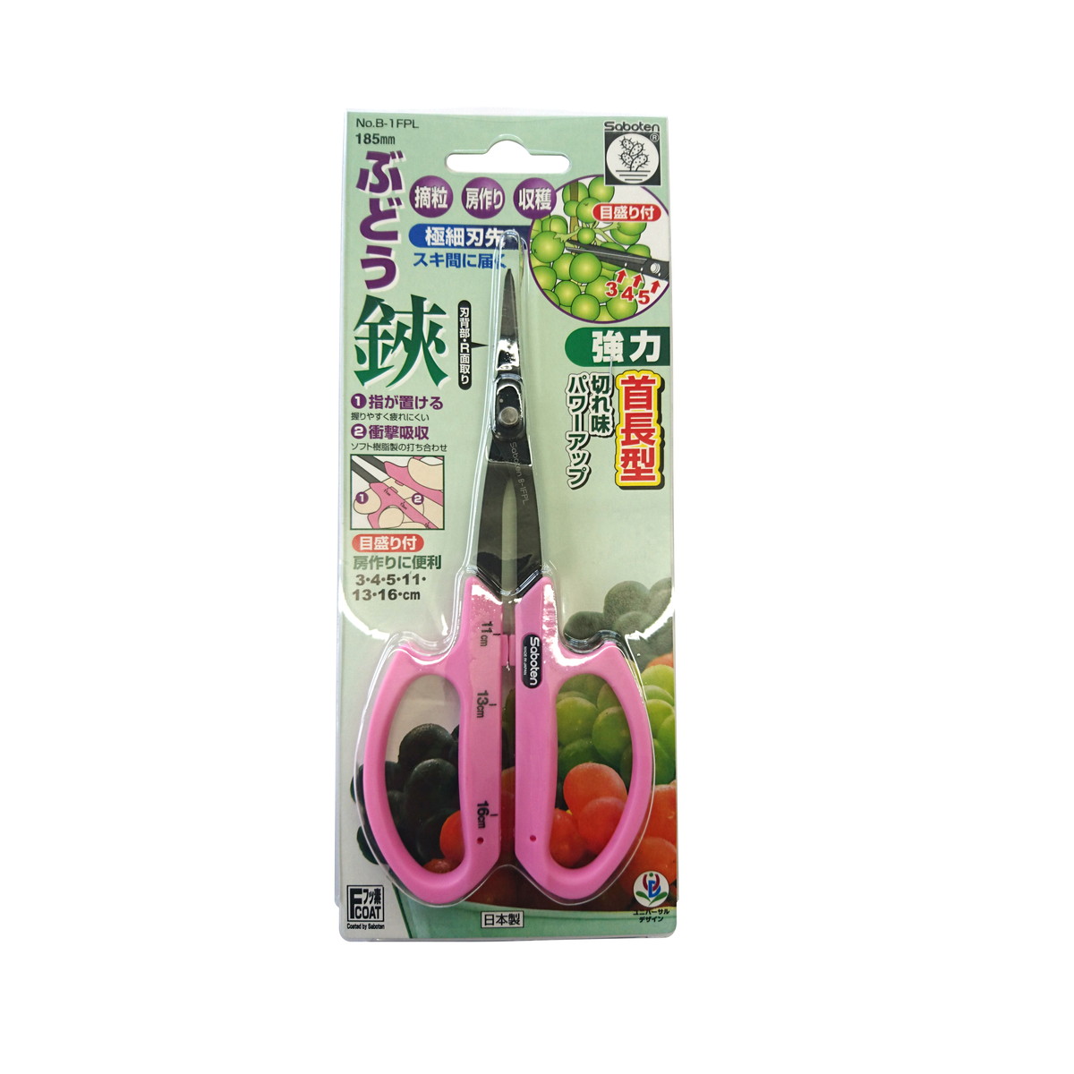 ?毎月付け替え?今月のオススメ品