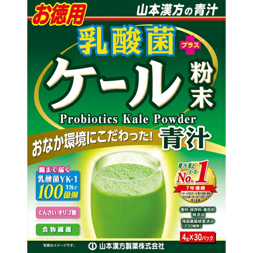 【送料無料・3個セット】山本漢方製薬 乳酸菌プラスケール粉末 お徳用 4g×30パック