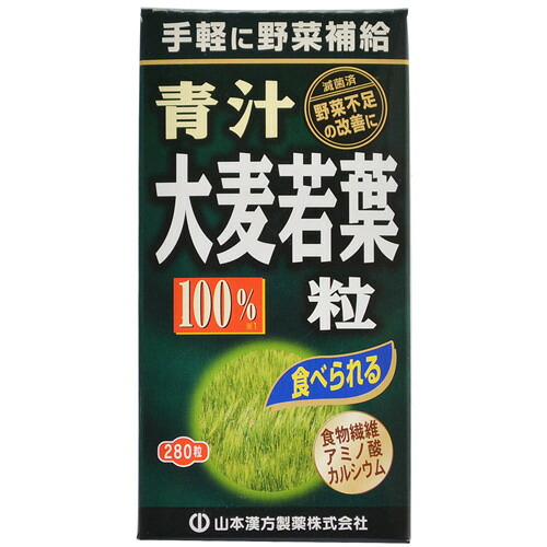 【送料込・まとめ買い×20個セット】山本漢方製薬 大麦若葉 青汁粒100% 280粒入