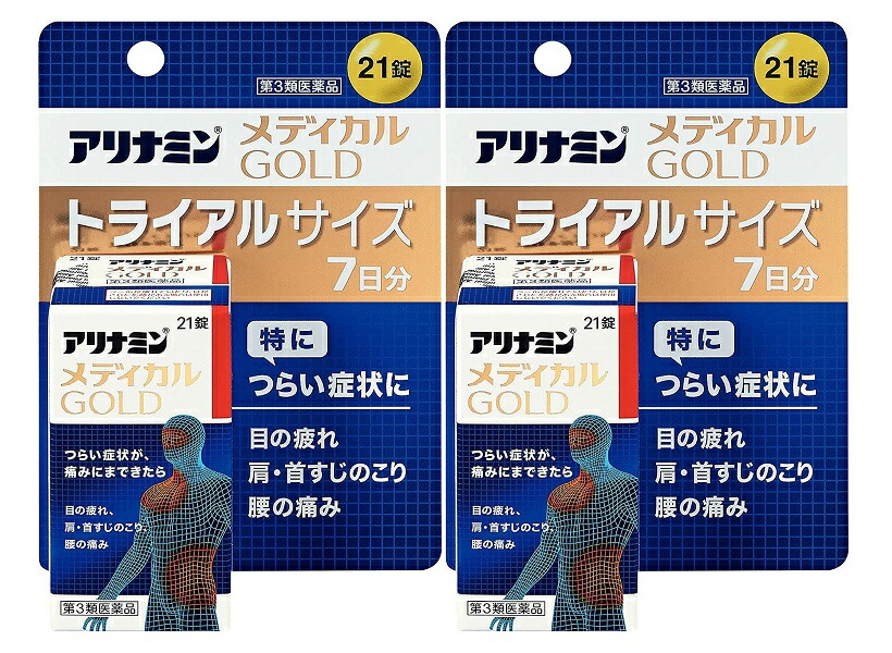 市場 ×2個セット 送料込 第3類医薬品 アリナミン製薬