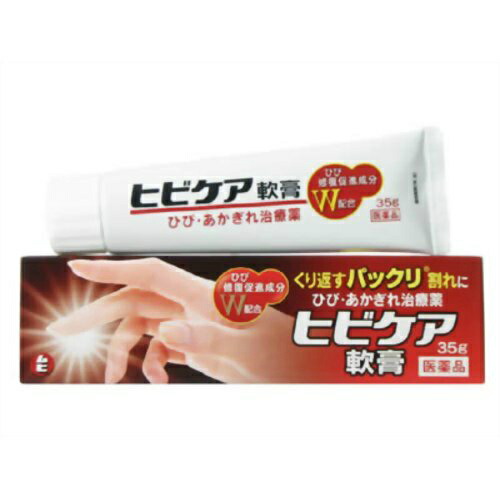 激安単価で まとめ買い 6個セット 第3類医薬品 池田模範堂 ヒビケア軟膏 35gw 最新の激安 Sunbirdsacco Com