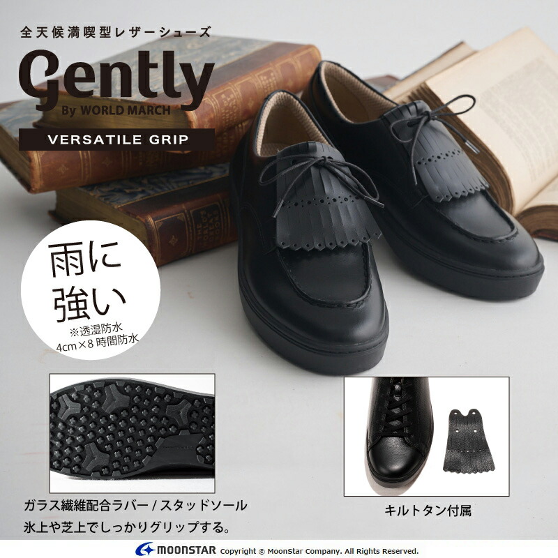 GE109VGブラツク