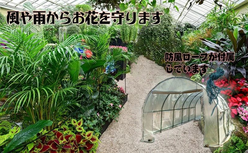 ビニールハウス 大型家庭菜園温室 PE素材 ウォークインガーデン植物温室 多機能温室棚 果物と野菜の庭 植物園芸温|スマイルスマイル
