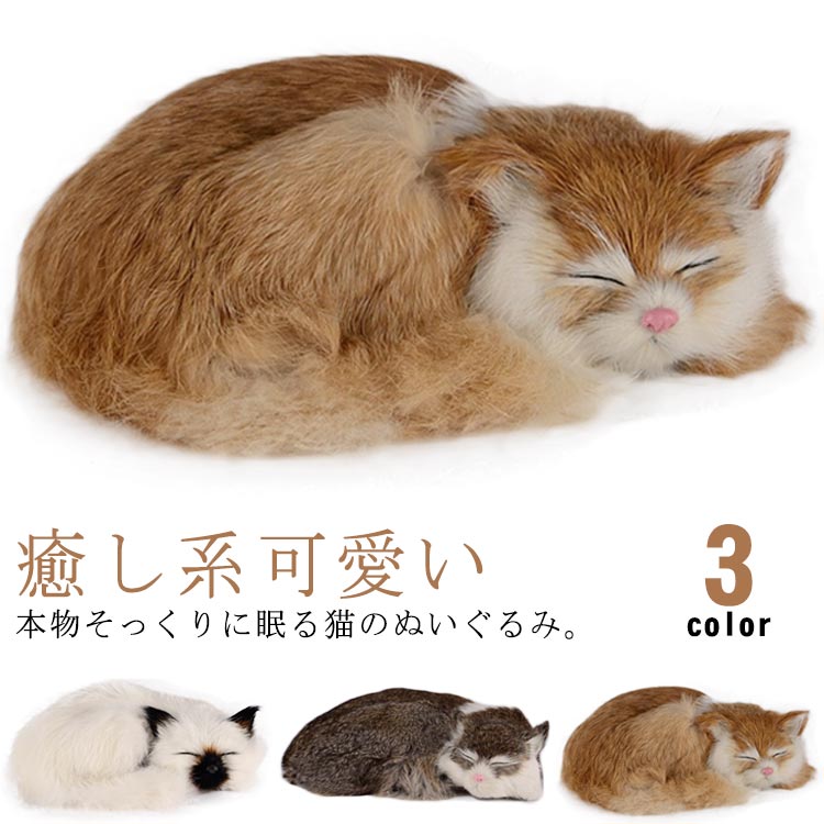 楽天市場】子供 猫 アニマル 本物そっくり 寝そべり ネコちゃん
