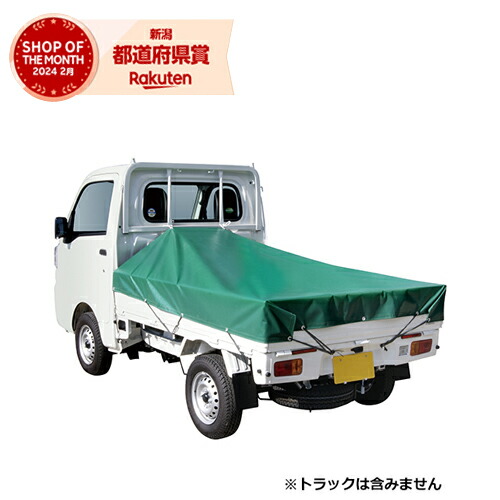 藤原産業 SK11 軽トラックシートNeo SKS-R1921GR