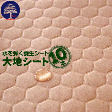一こまで差がつく！好いたらしい・暑さ打つ手科目特集