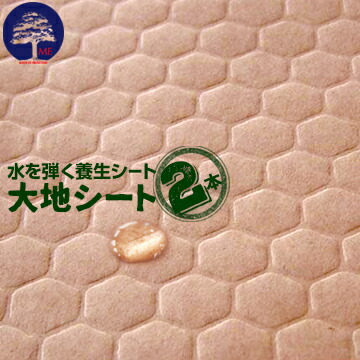 【宛先法人名限定】エムエフ 大地シート 2本 930mm×50m MF 屋内の床 廊下 養生シート 選挙投票所の床養生