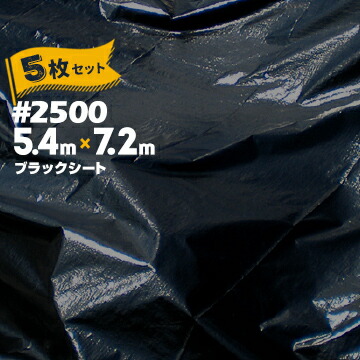 一こまで差がつく！好いたらしい・暑さ打つ手科目特集