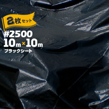 一こまで差がつく！好いたらしい・暑さ打つ手科目特集