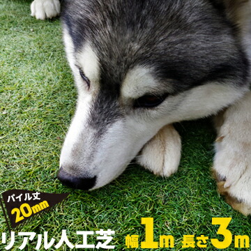 4・5月のチラシ｜今、息休め材は「紙」が正解です 花・ガーデン・DIY-芝生-ガーデニング・農業
