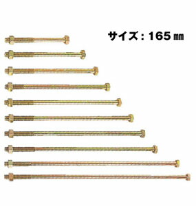 Z ゼット Z六角ボルト M12 M12×165mm 100本 417-2165 基礎 内装 構造金物 土台