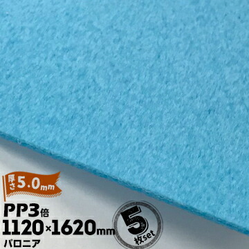 三井化学東セロ パロニア PP3倍 発泡シート 厚さ5mm 1120mm×1620mm アオ 5枚【コロナ処理なし】