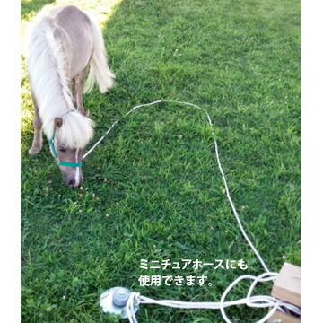 安心の定価販売 太悦 フレペグ 大型犬用 D F40 250 R1本大型犬を安全に繋いでおける360度自由に動ける大型犬 係留ペグ ドッグアンカー Somardistribuidora Com