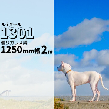 ガラスフィルム ルミクール1301 曇りガラス調幅 1250mm長さ 2m窓ガラス ウィンドーフィルム｜養生・建築資材のマモルデ