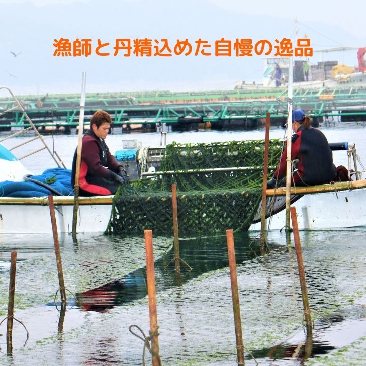 あおさ 50g 2022年 産 1等 九州 鹿児島産 国産 （ あおさ海苔 ）青さ ヒトエグサ チャック付 海苔 | antiguaboreal.com