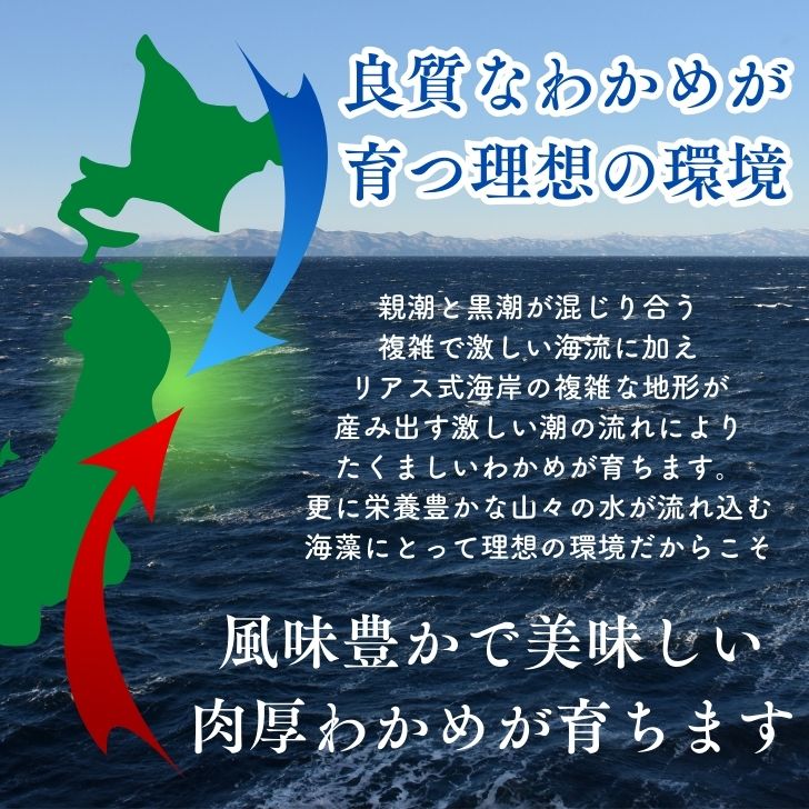 市場 三陸産 カットワカメ 国産 な カット わかめ 100g セット 無添加 お得 2袋 若布 × 乾燥わかめ