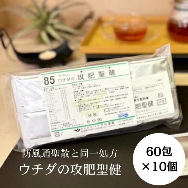 【第2類飲み薬】攻肥聖健 (防風通聖散) 抽出エキス細粒 60包 [10個仕かける] ウチダ和漢薬 85 こうひせいけん T80:4987359113673