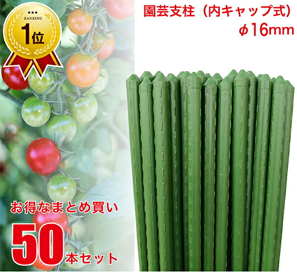 ランキング1位！ 【配送地域限定商品】 園芸支柱 径16mm 50本 セット 【まとめ買い】 鋼管竹 鋼管支柱 イボ竹 園芸 支柱 農業用 農業資材 花 野菜 畑 庭 ガーデニング 家庭菜園 JSB-16-HOUJIN-ONLY 10本組×5