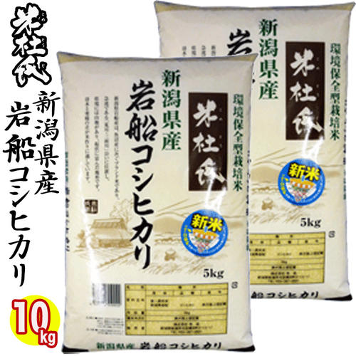 楽天市場】☆本日セール中☆（１等米） 令和4年産 新潟産 コシヒカリ