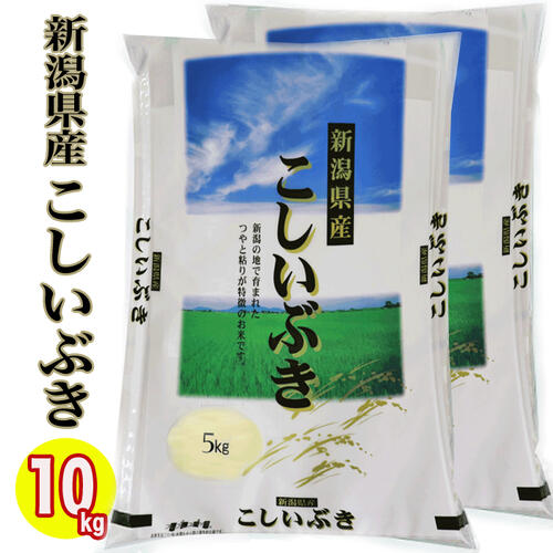令和7年産 新潟県産 こしいぶき 10kg (5kg&times;2) 白米 精米 新潟産 こしいぶき お米 新潟 お土産 お米 10キロ 新潟 こしいぶき ★精米仕立て 新潟 米 産地直送米 低温倉庫管理｜越後雪国地酒連峰（新潟店）