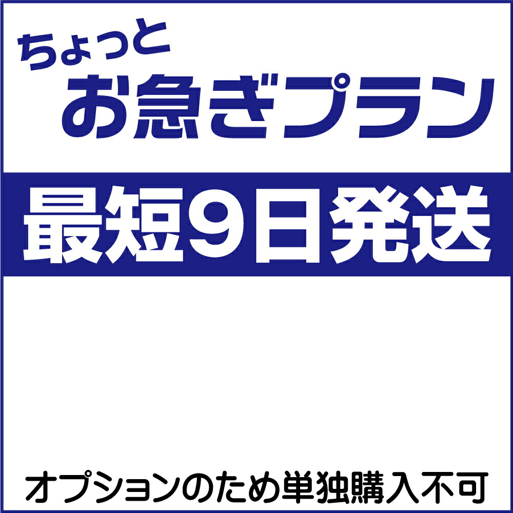 シールゼッケン 小（CP55） 2枚入 08Bf99_ : 新宿オカダヤYahoo