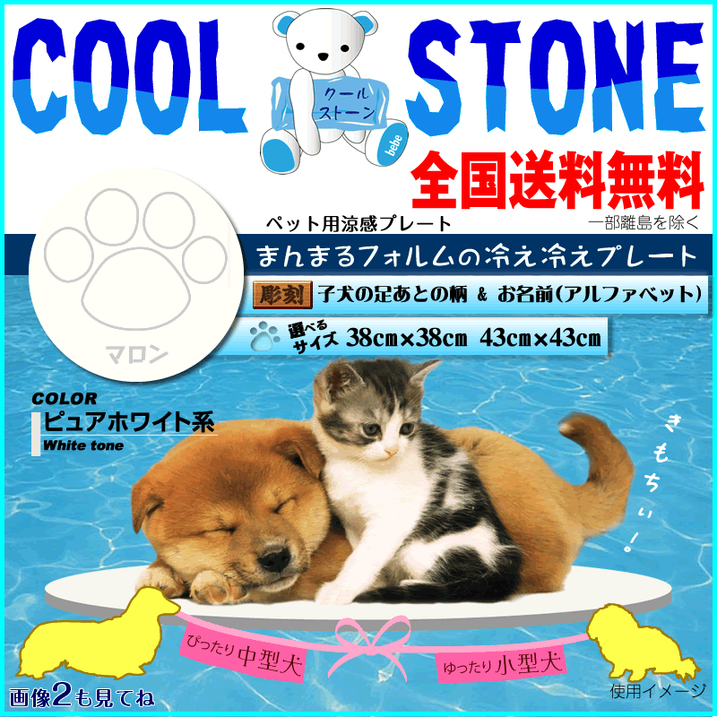 涼感スラブ 暑さ措置足部モデル品性 白 グループ カタカナ名入 ホーン ペットグッズ廻し者装置 犬ベット 無光沢マット プレート小型犬 2friendshotel Com