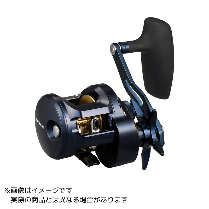 ダイワ 25ソルティガ 300L