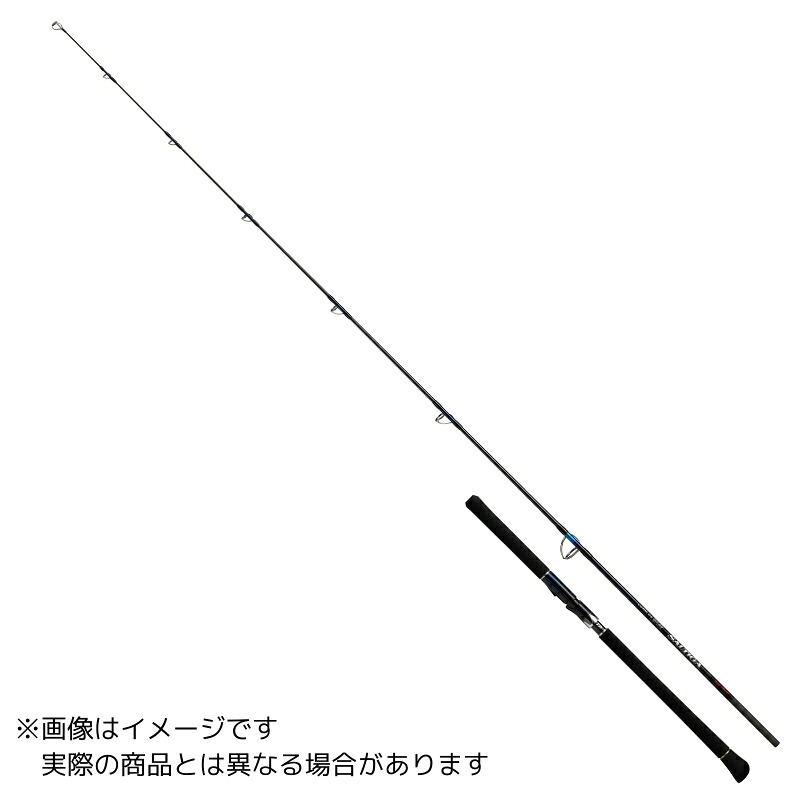 ダイワ ソルティガ 大きな進歩 C81-10 【大型商いもの3】