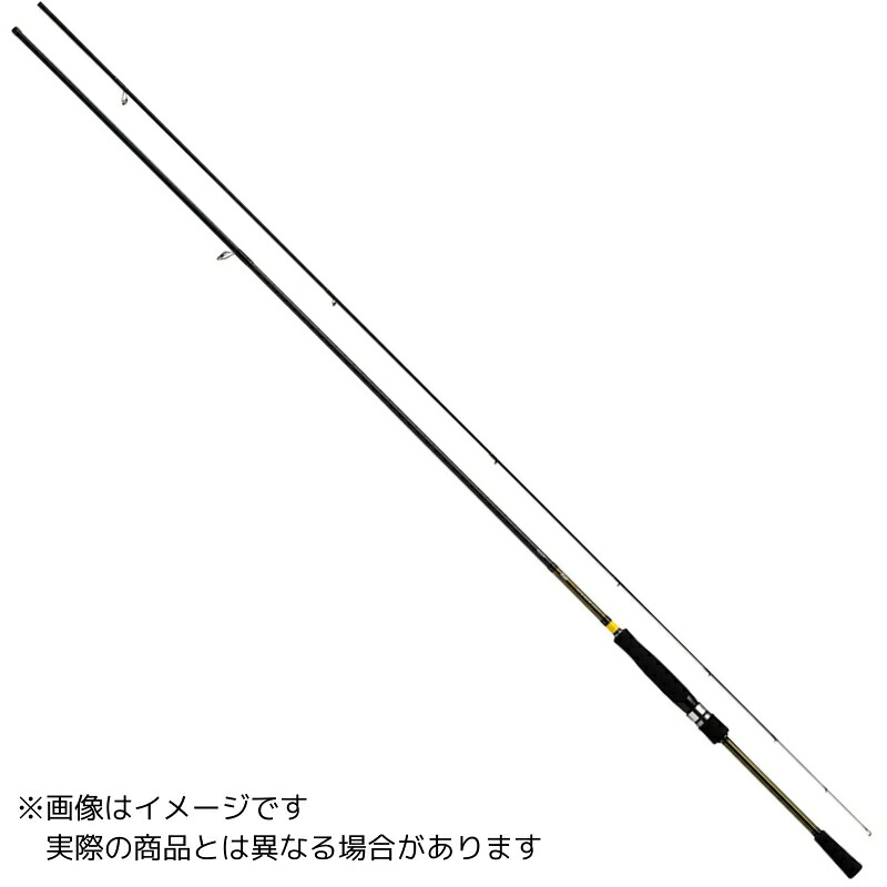 ダイワ アユイング X 100MS-S 【大型商品2】