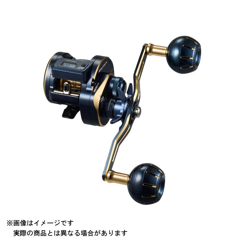 楽天市場】ダイワ(DAIWA) 21 ソルティガIC 100PL-DH 送料無料 : GR