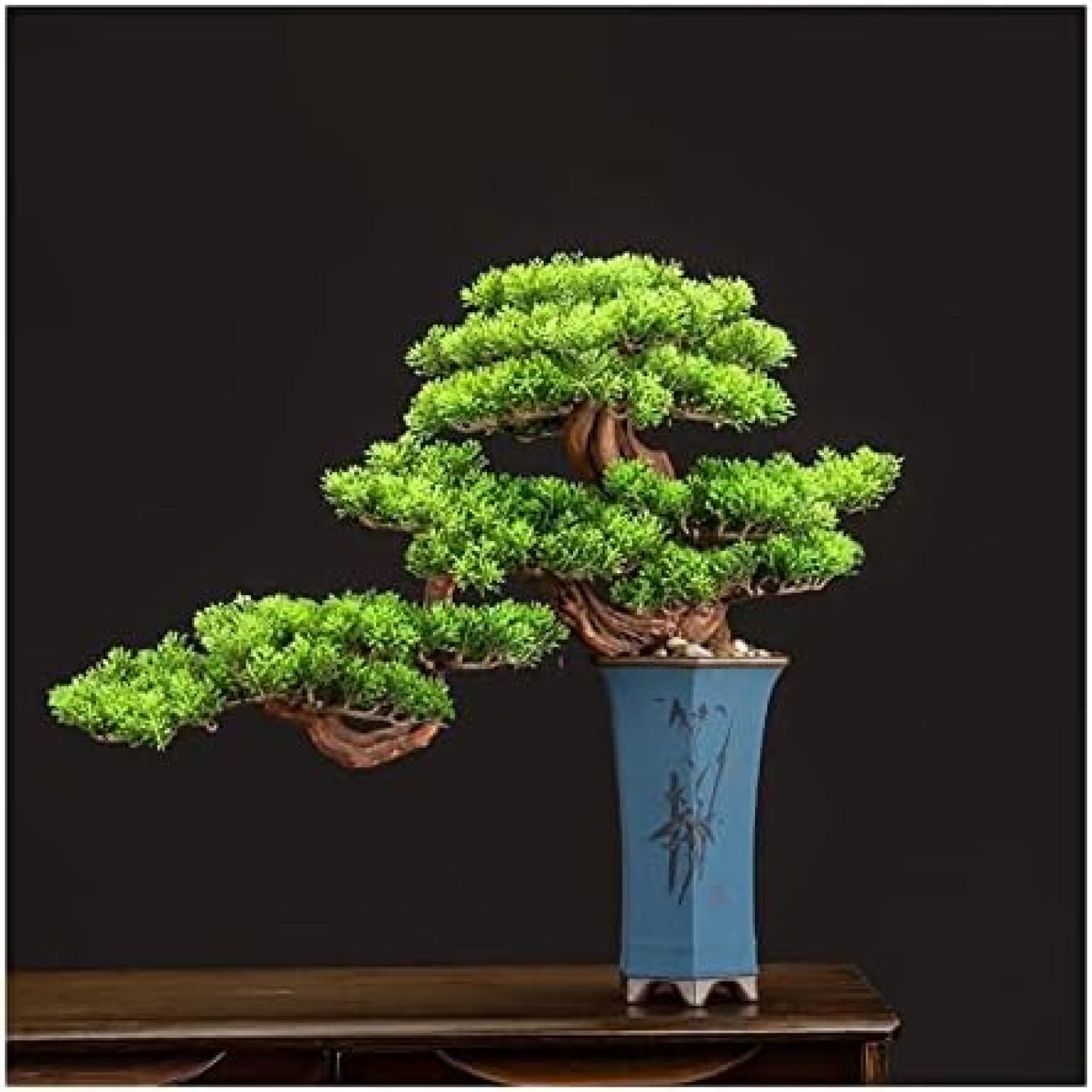 【20%OFFクーポン】人工樹木 松盆栽 室内装飾 フェイク盆栽 人工観葉植物 開運 開運盆栽 人工 リビングルーム アクセサリー 部屋 オフィス 装飾 人工観葉植物 (Color : A)|Yokos