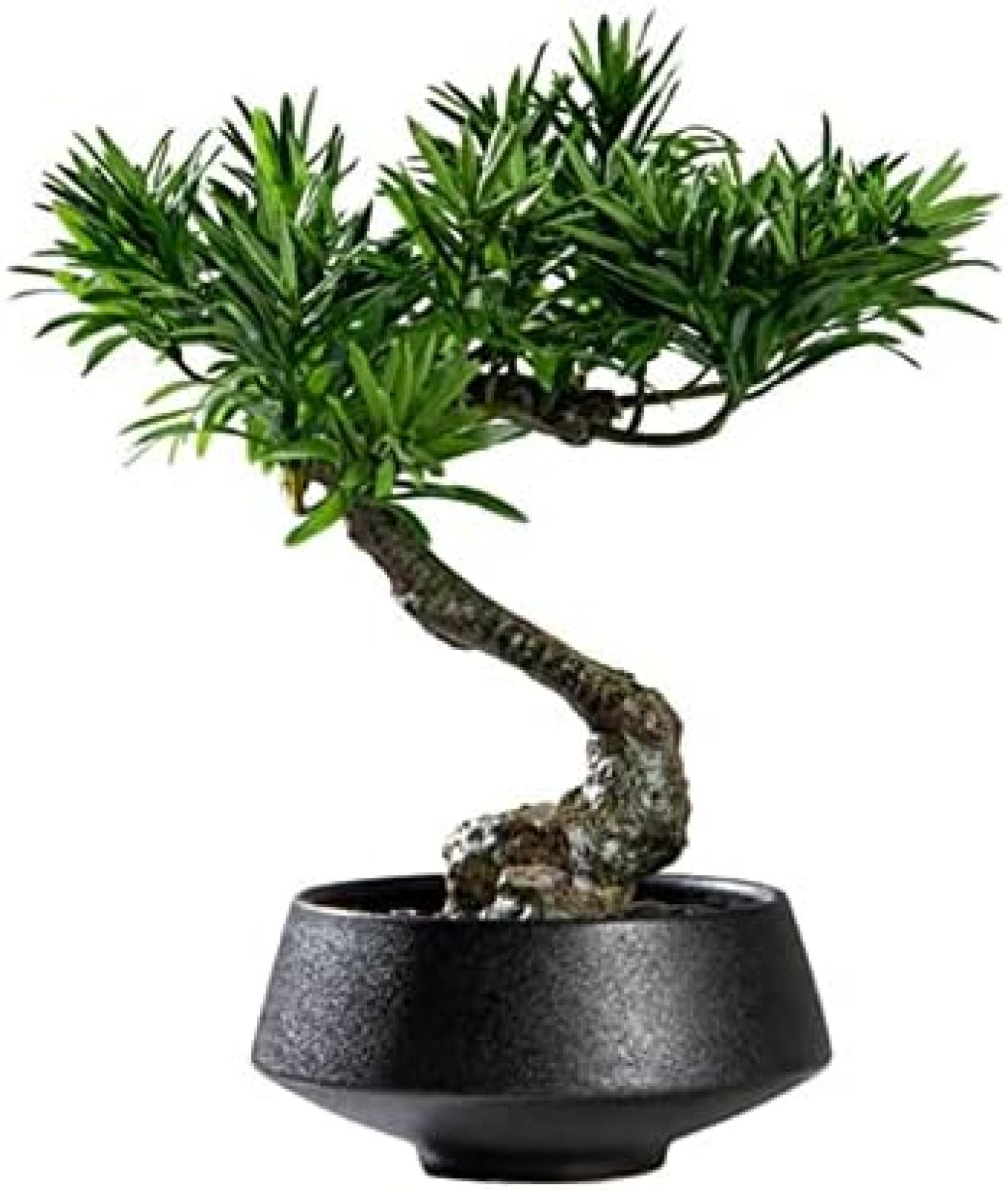 【20%OFFクーポン】室内装飾用の人工観葉植物 新中国人工盆栽ツリーシミュレーション歓迎松緑の植物小さな盆栽の装飾品コーヒーテーブル研究ワインキャビネット植物盆栽 偽の植物｜Yokos 14,776円