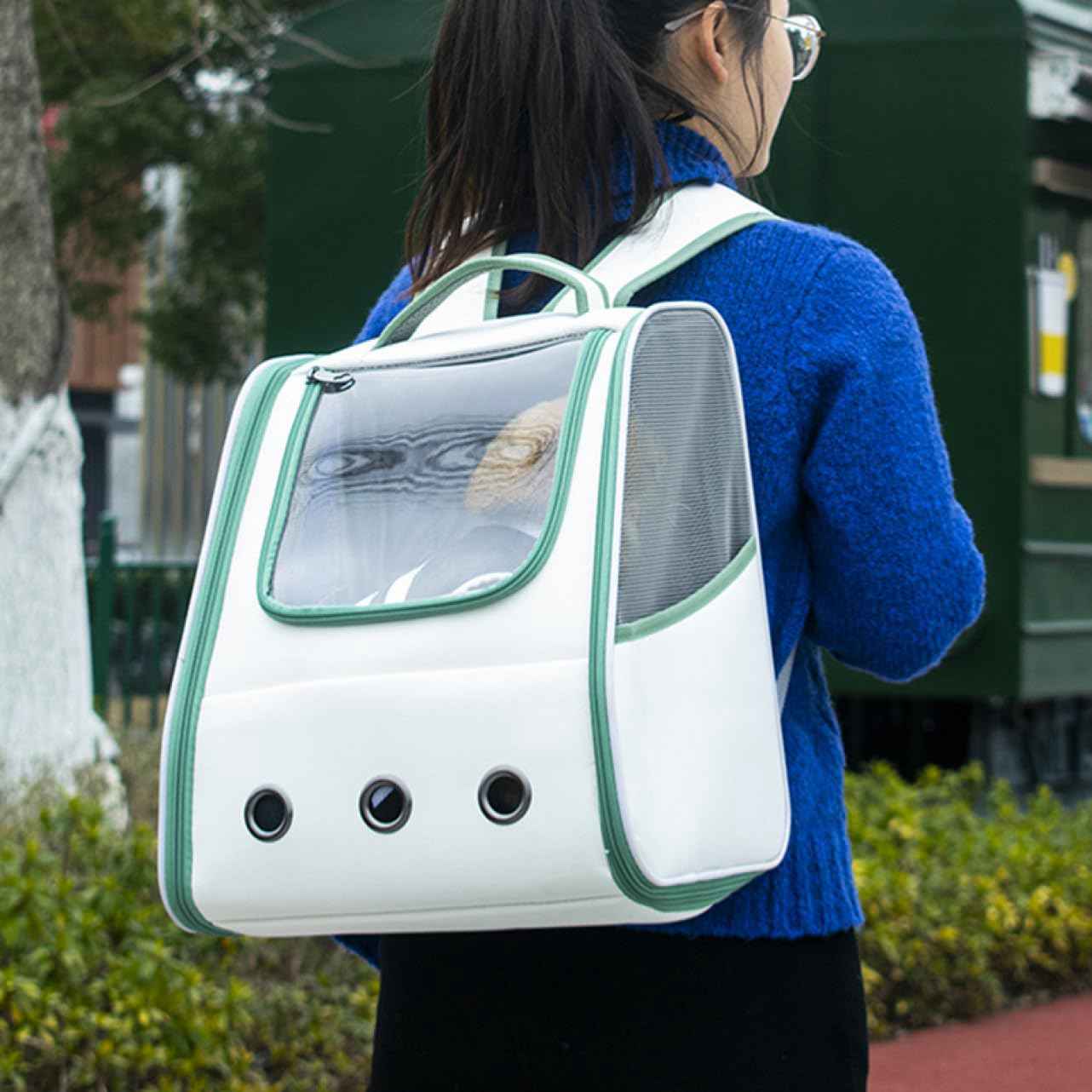 猫 キャリーバッグ リュック おしゃれ ペットキャリーバッグ グリーン 犬用 F 小型犬?小動物用 きゃりーバッグ 可愛い 大容量 折り畳み 通気性 旅行 通院 防災 避難用最適 軽量 飛び出し防止リ