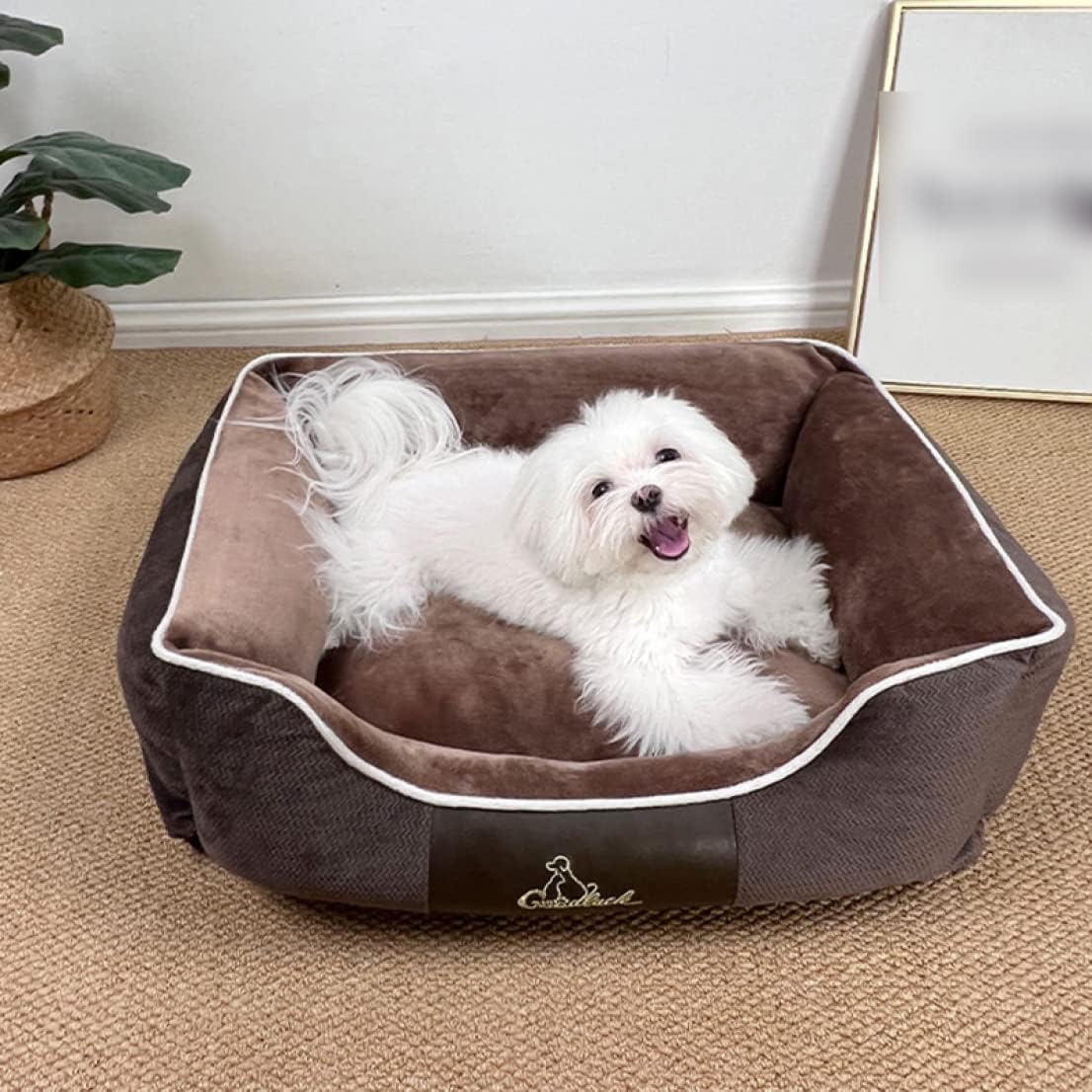 ペットベッド 猫 犬 ベッド ペットソファー 冬 猫用 犬用ベッド 寝床 通年 滑り止め クッション付き 中小型犬用 マット 洗える 柔らかい ブラウン 寒さ対策 50*40*18 保温防寒 中小型犬｜Yokos