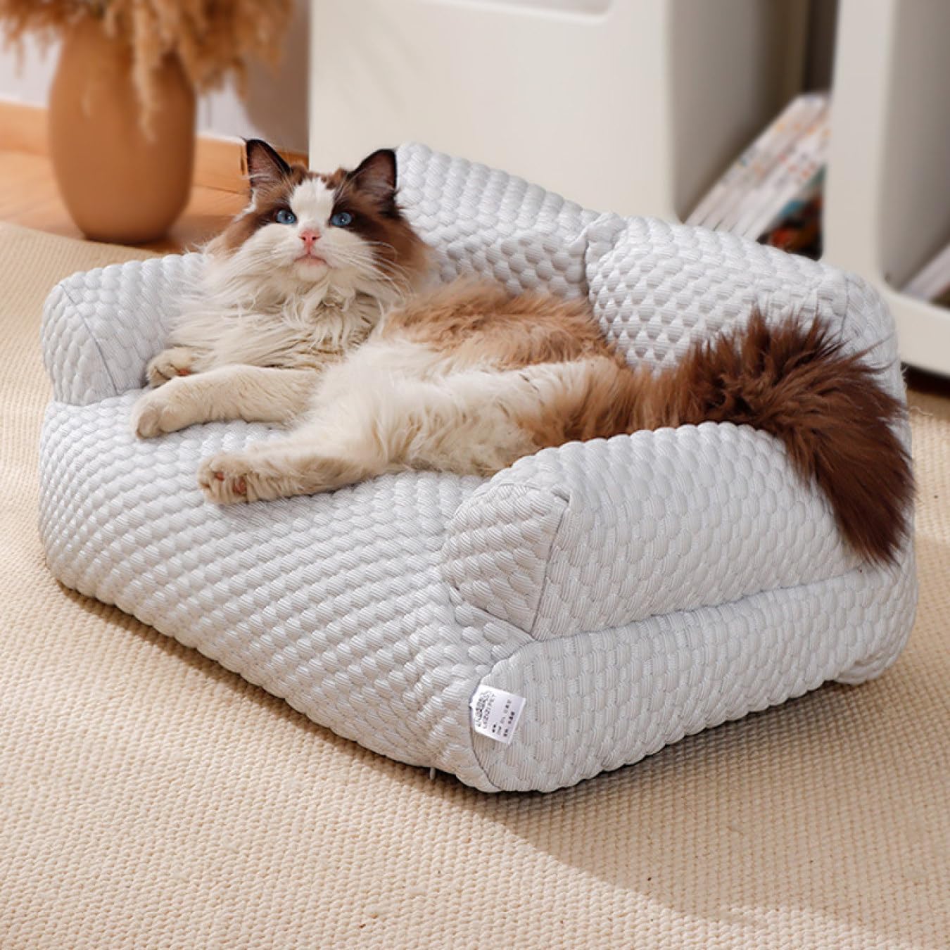 犬 ベッド 75*51*28 夏 中型犬 ペット用ベッド 夏用 柔らか パープル 犬 猫 洗える ペットクッション ペットマット 小型犬 猫用 かわいい おしゃれ ペットベッド ペットソファー 通気｜Yokos 12,319円