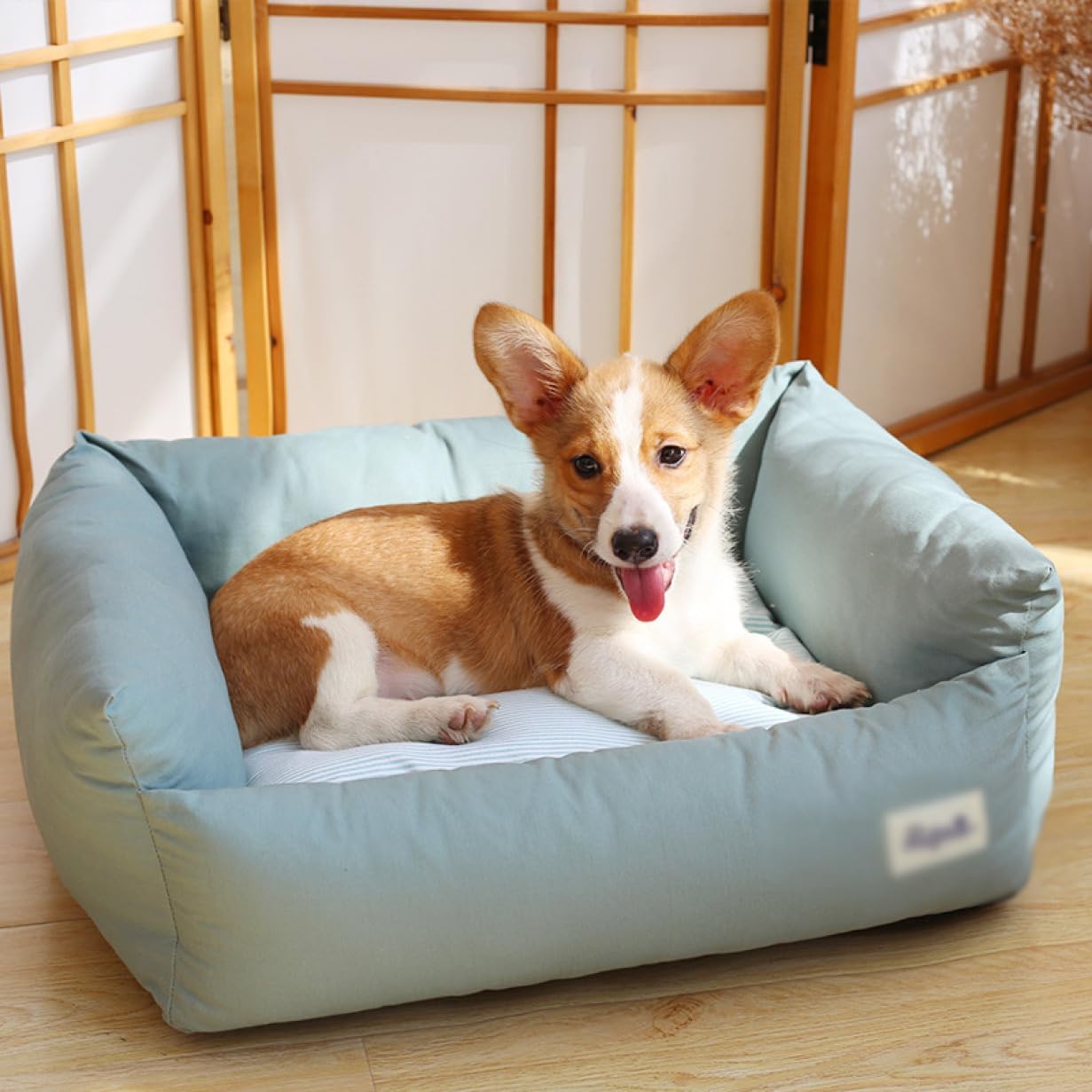 ペットベッド 洗える 55*45*20cm ふわふわ ペットクッション 冬 犬 猫 ベッド 中型犬 柴犬 グリーン あったか ネコ キャット ドック ペット用ベッド 柔らかくて暖かい 滑り止め 通年使|Yokos