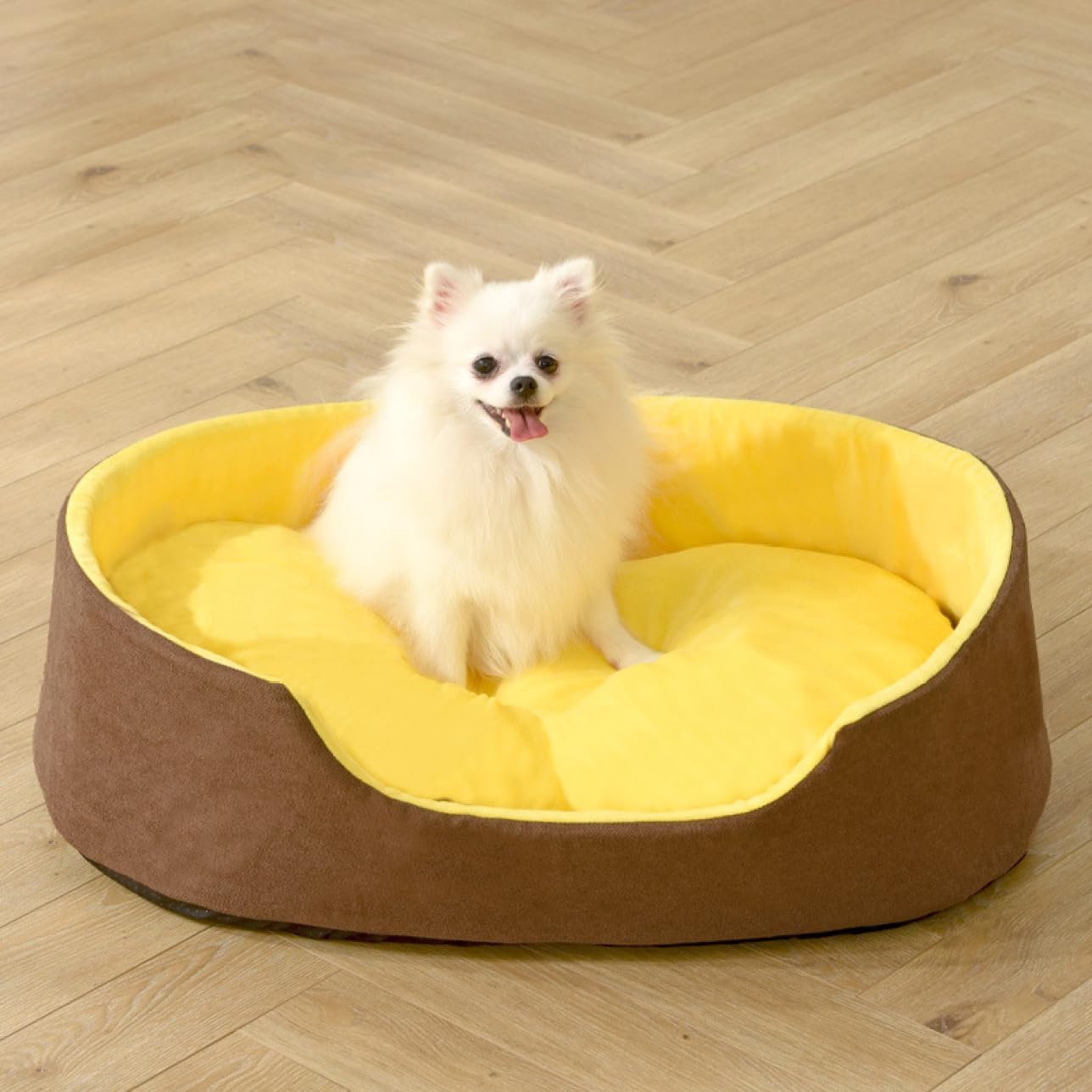 猫 犬 ベッド 110*70*23 ペットベッド ペット クッション 通年 猫用 小型犬用 ペット用品 ぐっすり眠る 通年 猫クッション 柔らかい 可愛い ペットマット 滑り止め ペットソファー 高齢|Yokos