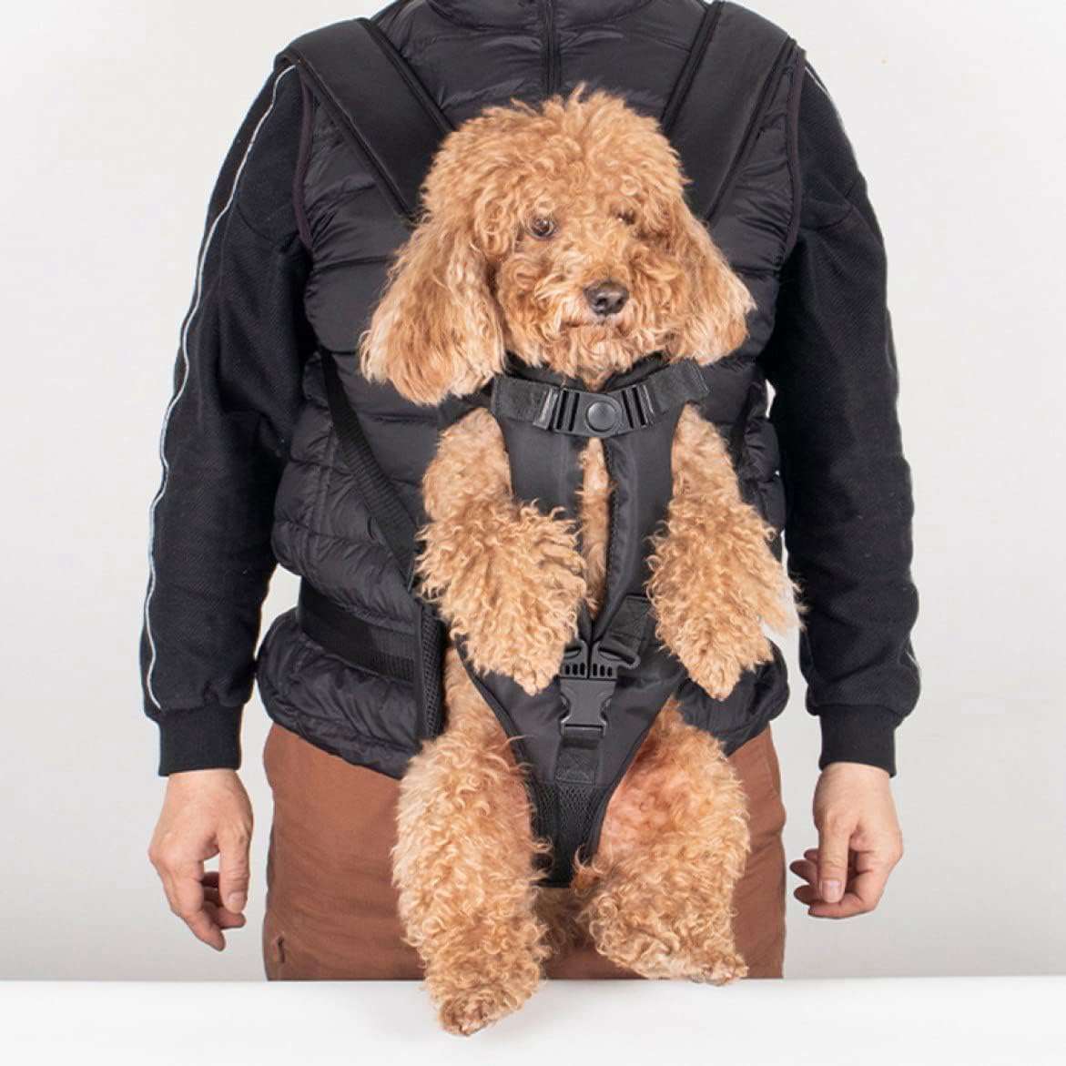 犬 猫 ペットキャリー だっこひもペット用 キャリーバッグ バッグ ペット用 お出かけ便利 小型犬 ブラック 中型犬 犬おんぶひも 猫抱っこ紐 猫 キャリーバッグ 猫抱っこバッグ S かわいい ペット｜Yokos
