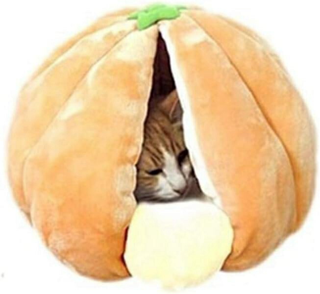 ペットベッド ベッド ハウス ペット 犬 イヌ いぬ 猫 ネコ ねこ あったか 秋冬 冬用 ペット用 犬用 L 猫用 手洗い かわいい 肉球 ミカン ドーム型 超小型犬 秋冬ベッド 犬猫兼用 猫 小型