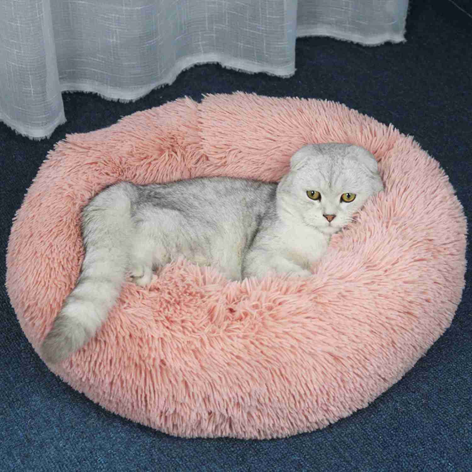 猫ベッド クッションマット 猫用品 子犬 ペットソファ 防音 クッション 四季適用 小動物 猫用クッション 異臭なし マット 設計 型崩れ防止 犬猫兼用 肌に優しい 60cm 脱毛なし ねこ用ベッド