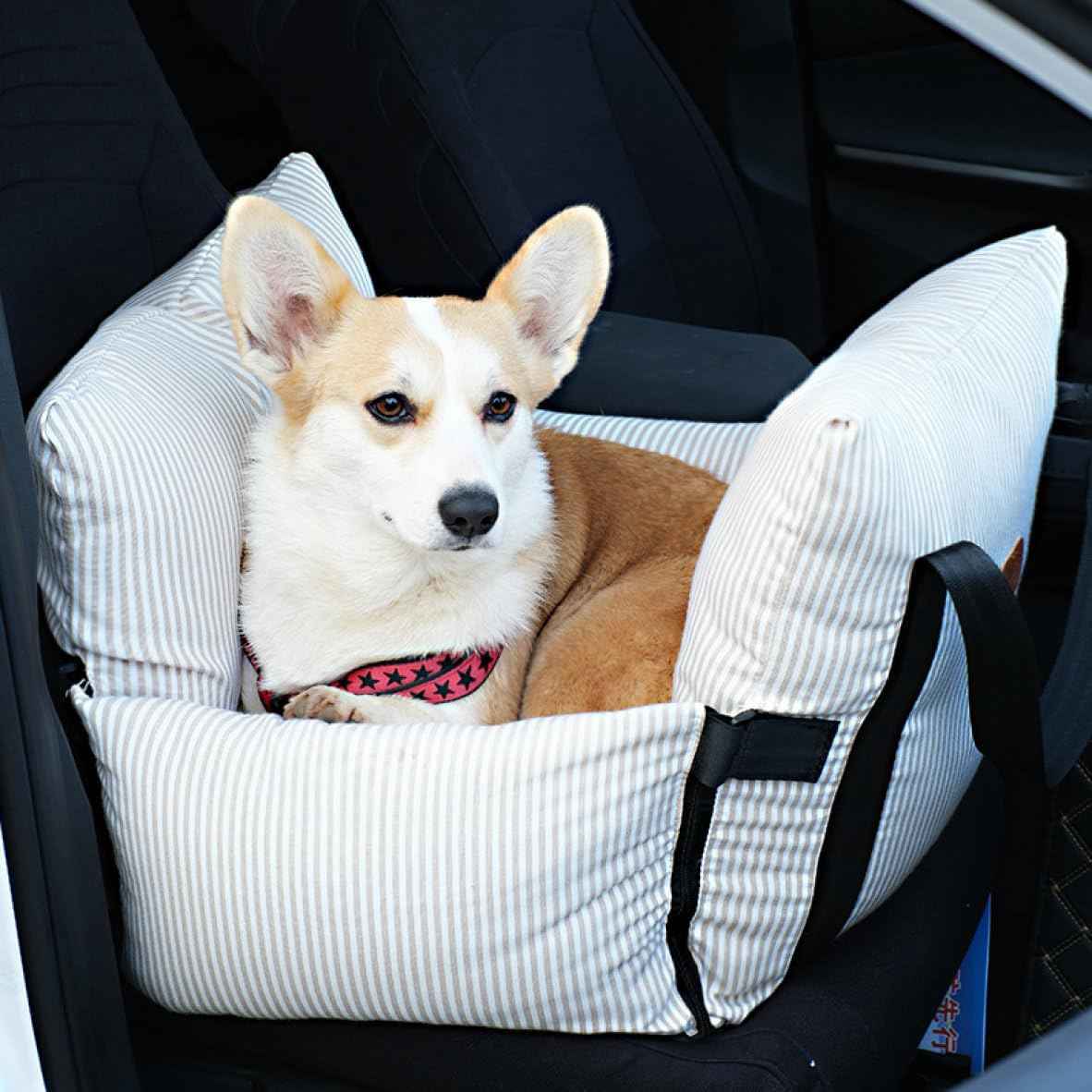犬 ドライブボックス キャリー 犬 車 ドライブシート 中小型犬 ペットキャリーバッグ 洗える 52*52cm 後部座席 車載用 飛び出し防止リード付き 洗濯可能 お出かけ カー用品 2way ペット|Yokos